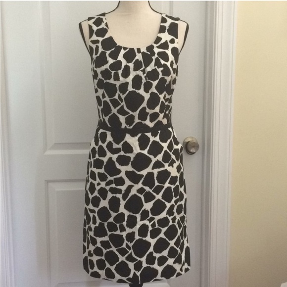 Loft Printed Dress - Picture 1 of 11